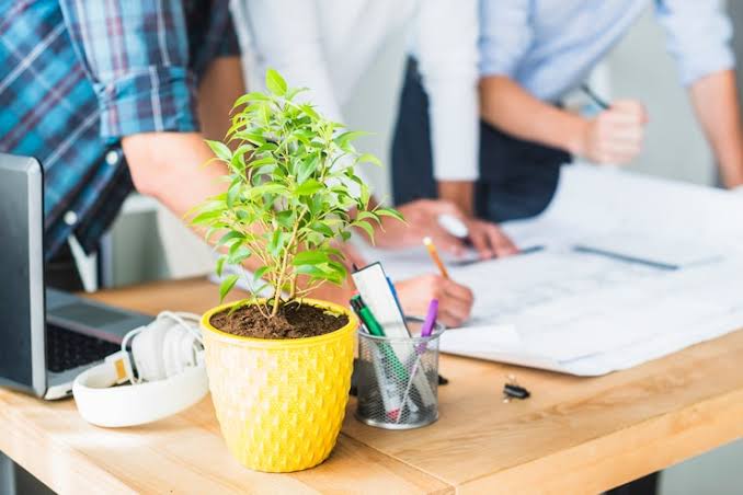 Smart Plant Care System